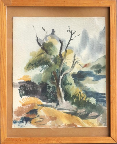 Old tree vintage - , framed